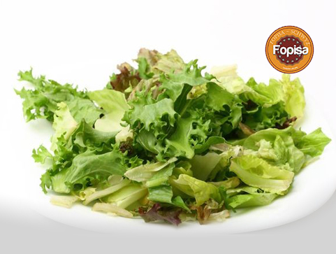 Grüner Salat Fopisa Online Bestellen